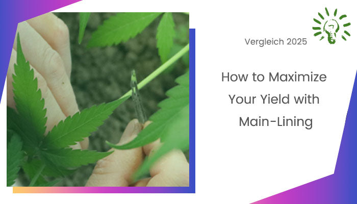 How to Maximize Your Yield with Main-Lining