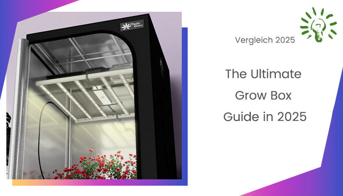 Grow Box Guide